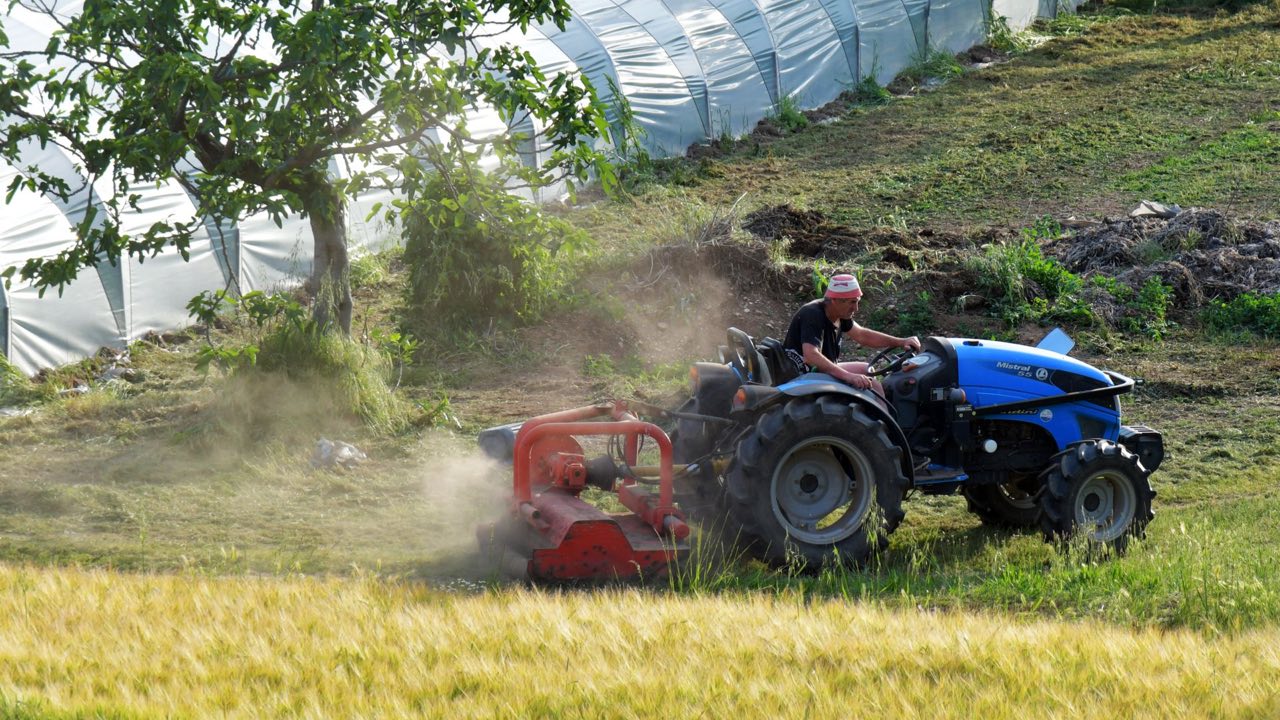 How the Six Main Types of Mulchers Handle Different Ground Cover and Terrain Conditions